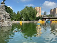-团结湖公园