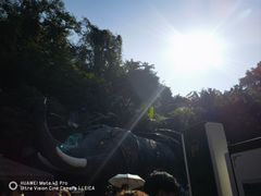 -野象谷景区