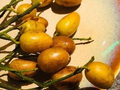 -荣记火锅(青悦城店)