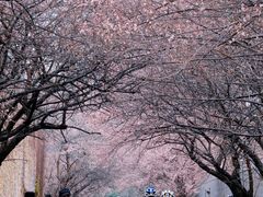 -国际非物质文化遗产博览园