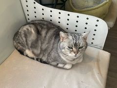 -小时光咖啡馆(北锣鼓巷店)