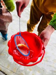 -可可天空农场(中大店)