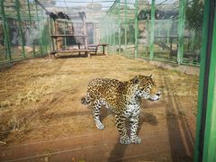 -鄂尔多斯野生动物园