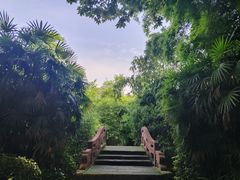 -望江楼公园