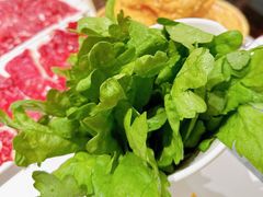 -犇鼎牛潮汕牛肉火锅(新辰里学清路店)