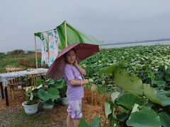 -七的湖·晚芳亭·阳澄湖农家菜·大闸蟹(莲花岛店)