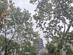 -听松楼·花园酒店·自助餐厅(红梅公园店)