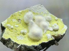 -南京维景国际大酒店(南京博物院店)