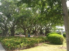 景点-白鹭洲公园