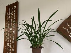 -成都杜甫草堂博物馆