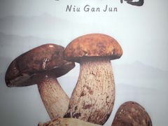 -阿鹏故事野生菌火锅(双廊古镇店)