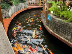 -侠成水上农庄(工业大道店)