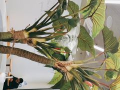 -CoCo都可(崇川万象城店)