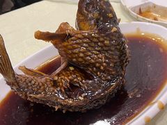 罾蹦鲤鱼-奥华餐厅·老张记(台基厂店)