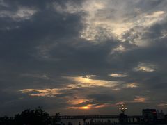 -宝安西湾红树林湿地公园