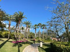 -大堂酒廊·亚龙湾万豪度假酒店