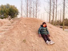 -前小桔亲子创意农场·草莓采摘·露营烧烤