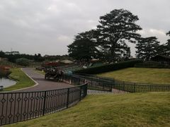 -迪茵湖田家舍生态农场