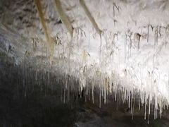 -波斯托伊纳溶洞