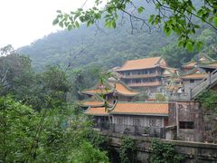 -南海湾森林生态园