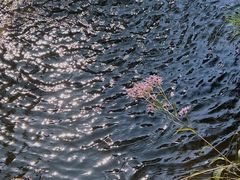 -熙古里艺术村