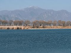 -野鸭湖国家湿地公园
