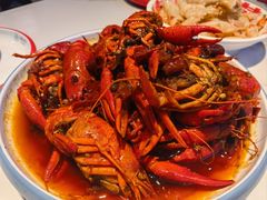 -堕落小龙虾(兰州旗舰店)