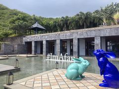 -日落吧·海景咖啡厅·餐酒吧·鸡尾酒·下午茶·乐队表演·浪漫夕阳·三亚文华东方酒店