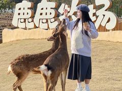 -盈香心动乐园