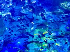 -珠海长隆海洋王国