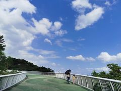 -飞凤山奥体公园