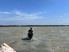 -红树林天天赶海