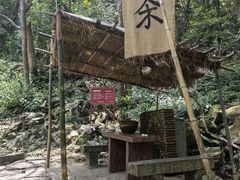 -严子陵钓台(富春江小三峡)