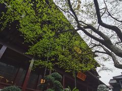 -香积寺