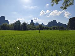 -明仕田园