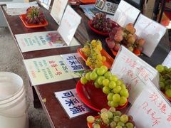 -马陆小张葡萄园农家乐