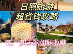-渡海小渔村.老辈日照菜