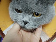 -联合动物医院(光谷诊疗中心)