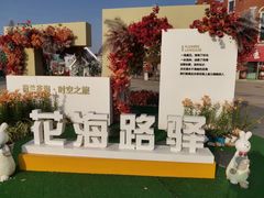 -荷兰花海