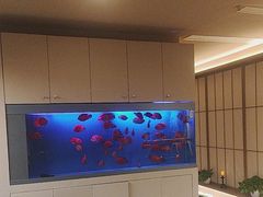 -宫七SPA·高端Massage(浦东大道店)