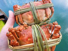 -七的湖·江南蟹舫·阳澄湖农家菜(蟹舫苑店)