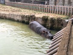 -杭州野生动物世界