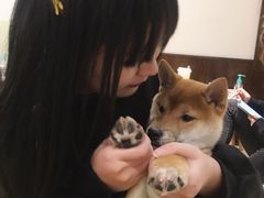 -逗柴咖啡屋·狗咖猫咖宠物桌游