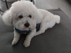 -pd派德宠物中心医院24H急重症·眼科中心·血液透析中心(嵩山北路店)