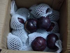 -点都靓餐饮连锁(德信华城店)