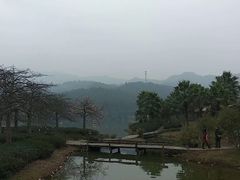 -森波拉火山温泉