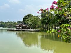 -惠州西湖丰渚园