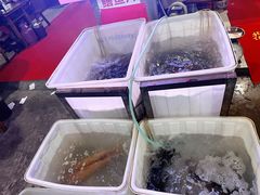 -金海椒罐罐鲢鱼(东方桂苑店)