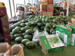 -庞各庄翠芳园西瓜蔬菜基地采摘园