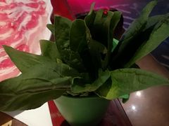 菠菜-姑妈嫁妆涮羊排专业火锅(中央大街一店)